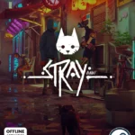 Stray